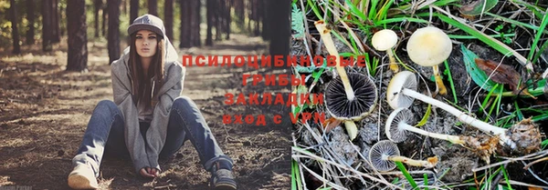 дживик Абинск