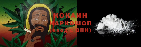дживик Абинск