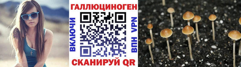 Галлюциногенные грибы Psilocybine cubensis  продажа наркотиков  Собинка 